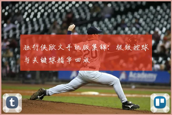独行侠欧文手机版集锦：极致控球与关键球精华回放