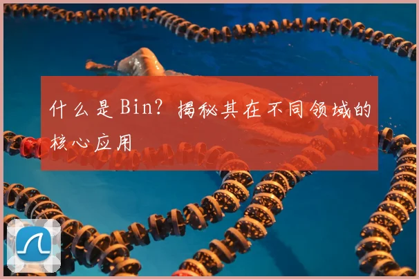 什么是 Bin？揭秘其在不同领域的核心应用