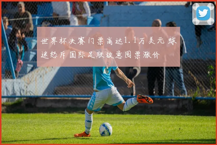 世界杯决赛门票高达1.1万美元 球迷怒斥国际足联故意囤票涨价