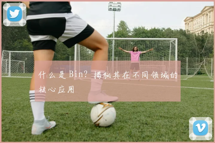 什么是 Bin？揭秘其在不同领域的核心应用